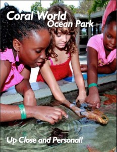 Coral World