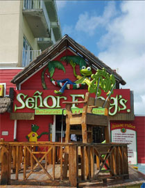 senor-frogs