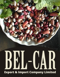 BEL-CAR EXPORT & IMPORT