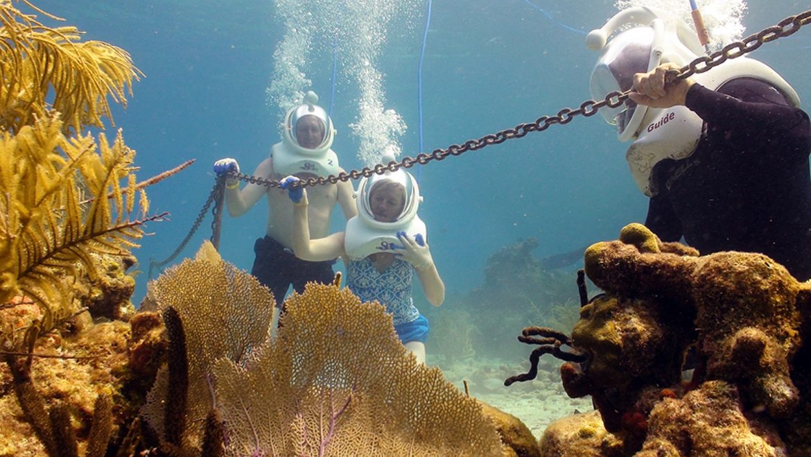 Coral World