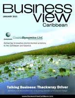 Business View Caribbean cover for the January 2015 issue. Showing lily pads on water and grass growing out of the water behind it. 