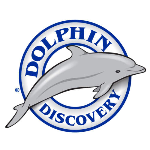 Dolphin Discovery Dolphin Discovery