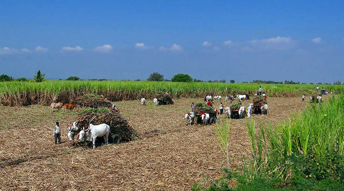 STAKEHOLDERS DISCUSS A WAY FORWARD FOR REGIONAL SUGAR INDUSTRY