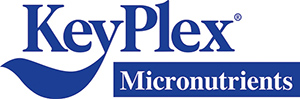 KeyPlex International Inc. KeyPlex International Inc.