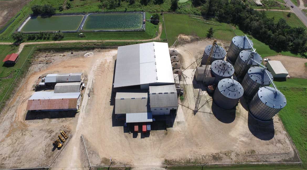 Bel-Car Export & Import Company - Limited Beans and More