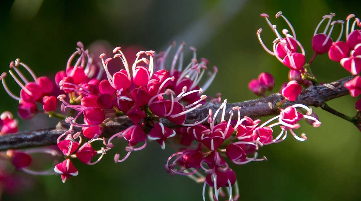 Welcome to the Caribbean's Nature Paradise That's Dominica