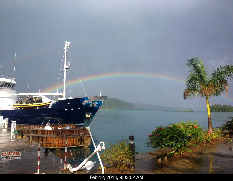 Errol Flynn Marina