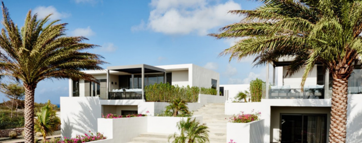 A view of a modern caribbean house with many planters built in to walkways, palms trees and blue skies.