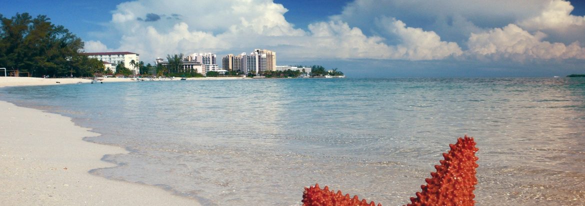 A photo of a beach with the top of a starfish sticking up at the bottom and hotels on the horizon.