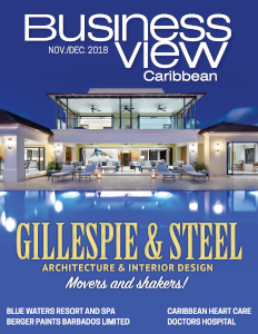 November 2018 issue cover of Business View Caribbean.