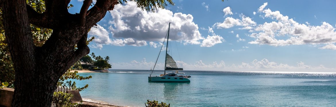 Regional Cultural and Creative Industries Workshop Held in Barbados
