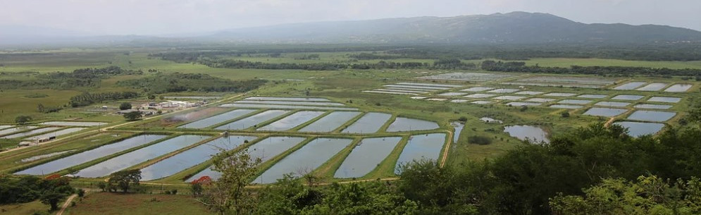 Algix Jamaica Ltd. aerial view of fish farm.