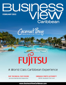 February 2015 Issue cover Business View Caribbean.