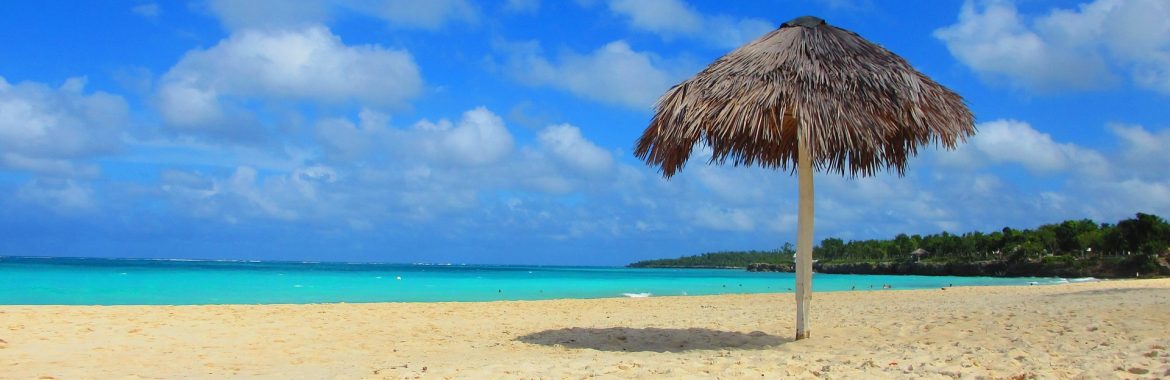 Sandy beach with blue skies and water behind, with a tiki style sun shade on the beach.