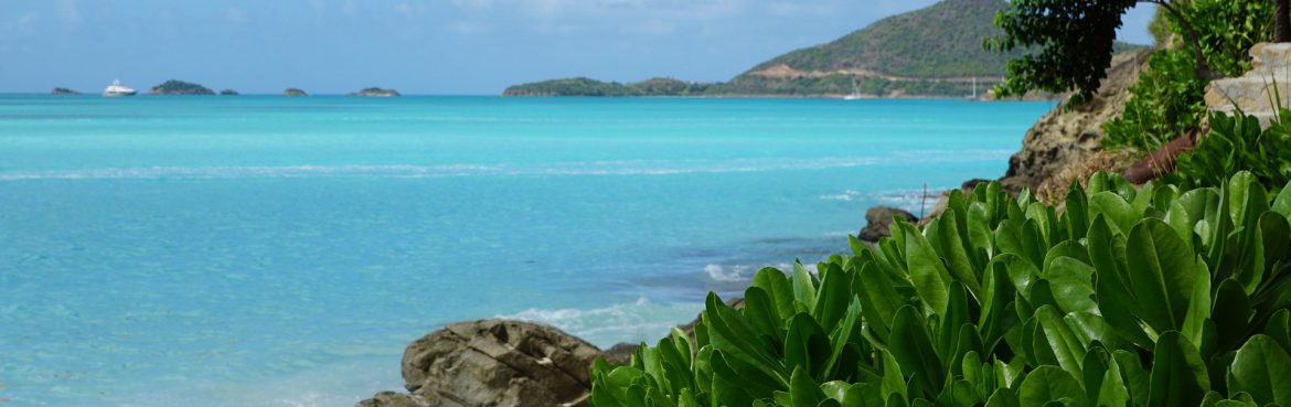 Ocean water beachfront view with a plant in the foreground and a mountain in the background.