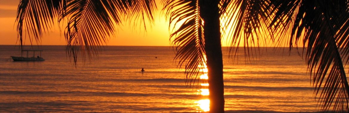 The Ministry of Tourism Jamaica. Sunset on the beach with someone in the water and a palm tree in front.