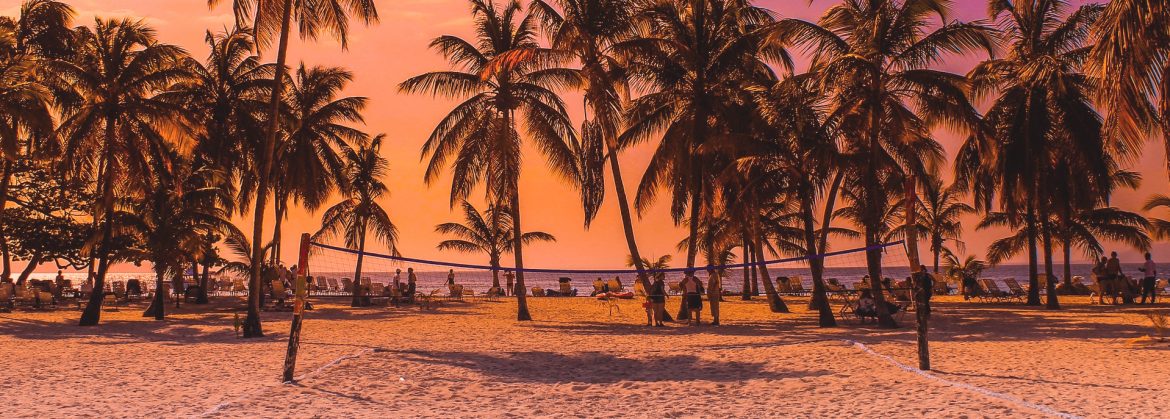 Beach view with a volleyball area in the foreground and palm trees and beach front behind.