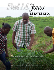 fred-m-jones-estates-ltd-brochure-co ver Fred M. Jones Estates Ltd brochure cover.