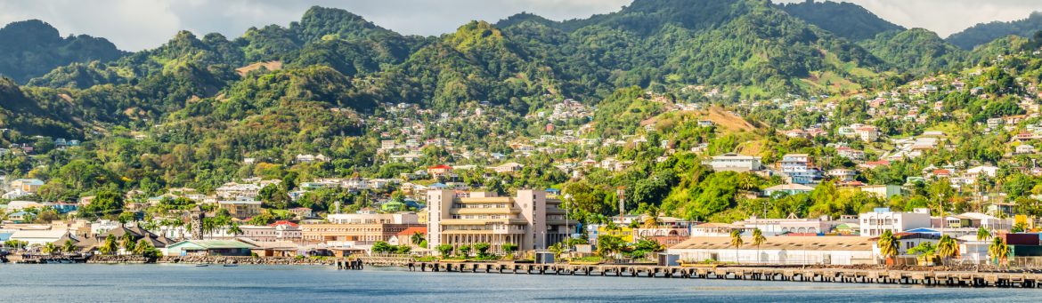 The Government of St. Vincent and the Grenadines and Prime Minister Ralph Gonsalves
