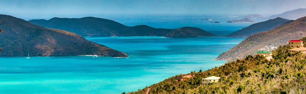 Caribbean IPAs to make investment opportunities more attractive to foreign investors. Stock photo of Caribbean island and water.