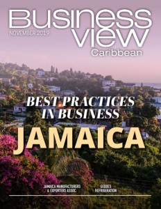 November 2019 Issue cover of Business View Magazine