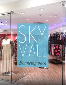 sky-mall-cover