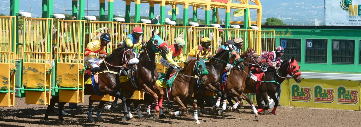 Supreme Ventures Limited horse race start at the gate