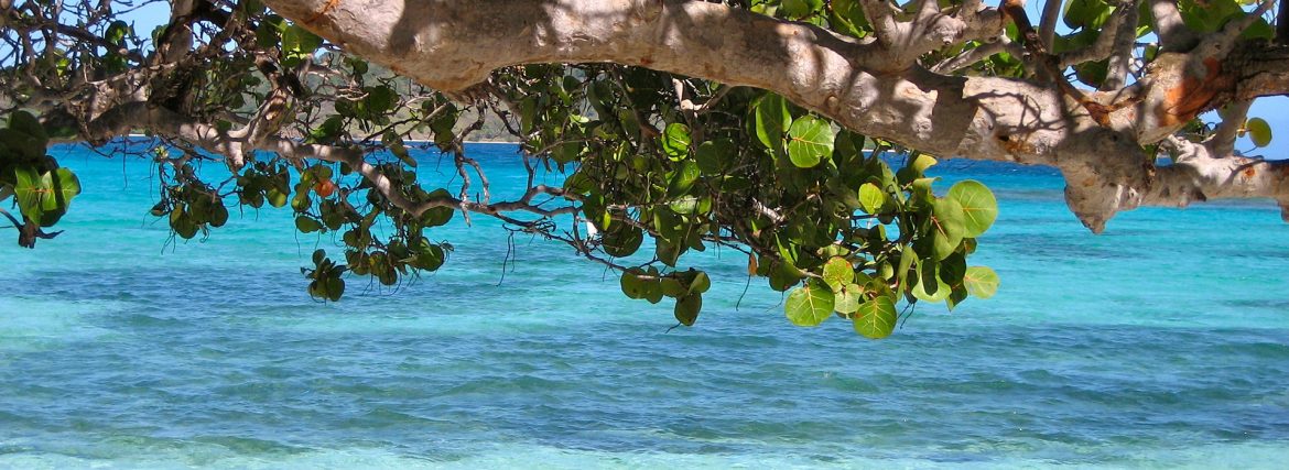 barbados-92162