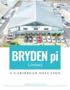 bryden-pi