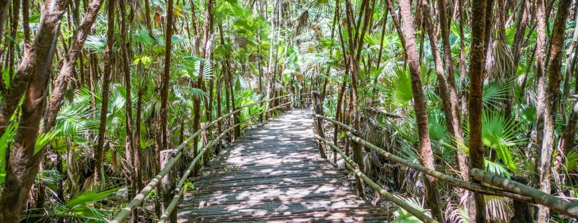 Belize Tourism Board to Host Adventure