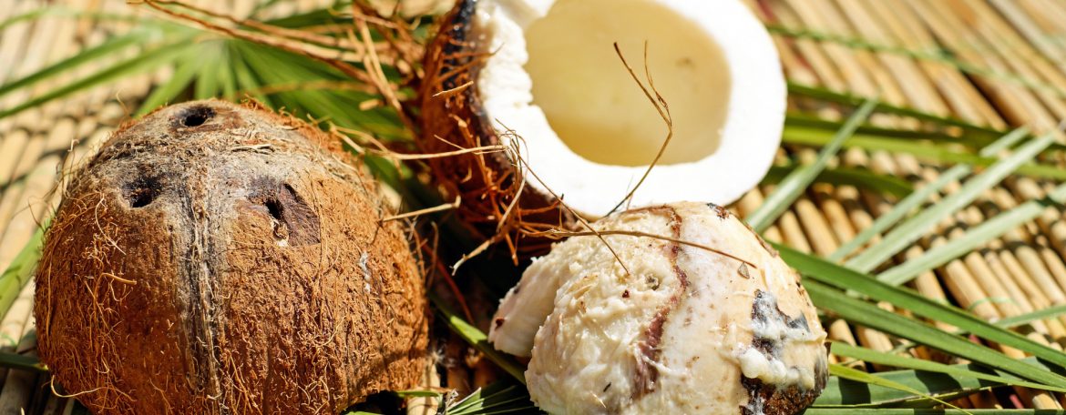 Regional Coconut industry