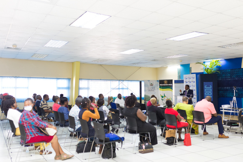 Jamaica Business Development Corporation - Kingston, Jamaica