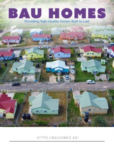 bau homes