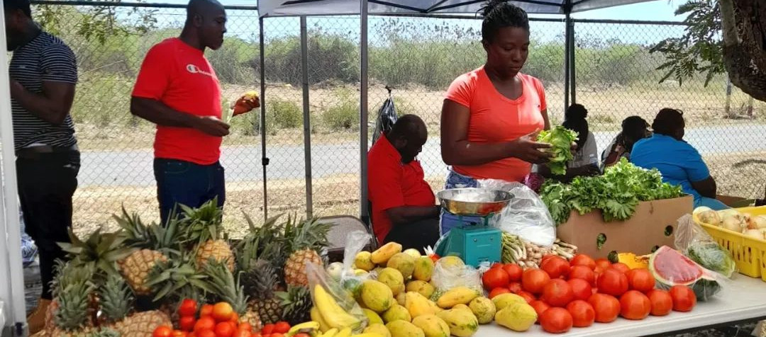 Rural Agricultural Development Authority - Jamaica, Caribbean region