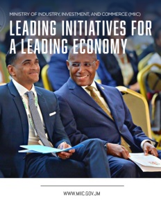 ministry of industry, investment, and commerce MIIC
