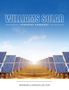 williamsolar