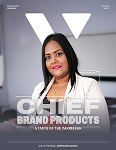Business View Caribbean December 2025 Cover