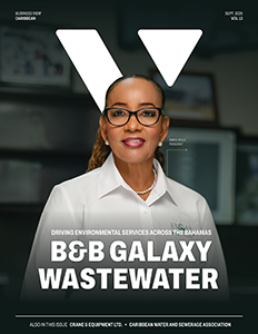 Latest cover of Business View Caribbean.